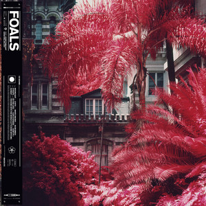 Exits (Edit) 2019 Foals Exits (Edit) 2019 Foals