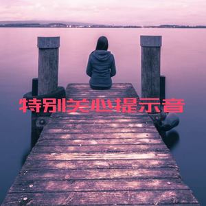 特别关心提示音
