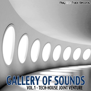 Gallery Of Sounds -Vol.1 - Tech-House Joint Venture