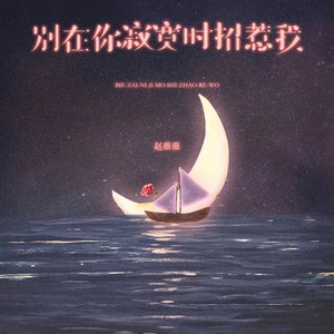 别在你寂寞时招惹我 (治愈女版)