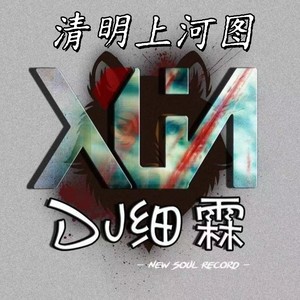 清明上河图（DJ细霖降调版）