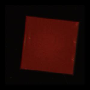 Excerpt 5 (Explicit)