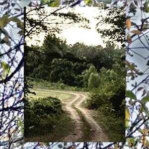 Dark Hearted (feat. MAGNUS X) (Explicit)