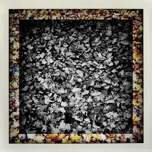 Sleepwalker (Jan Blomqvist Version)