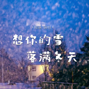 想你的雪落满冬天