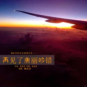 再见了美丽的错