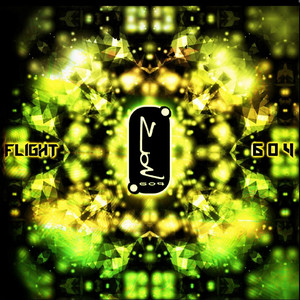 Narrow Vision in a Wide World