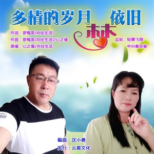 多情的岁月梦依旧 (伴奏)