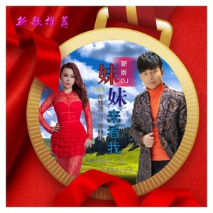 妹妹来看我 (新版DJ)