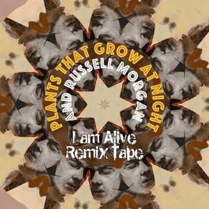 I Am Alive (flohzirkus Remix)