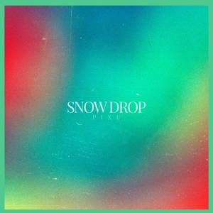 Snow Drop