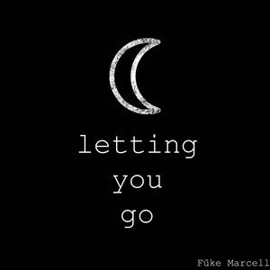 Letting you go (Explicit)