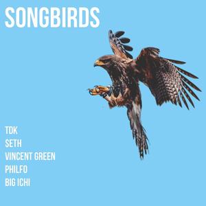 SONGBIRDS (feat. tdk, $eth & Vincent Green) [Explicit]