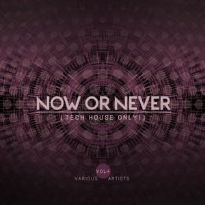 Now Or Never, Vol. 4 (Tech House ONLY!)