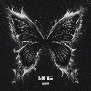 질풍가도 (Stormy Voyage)