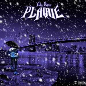 Plaque (Explicit)