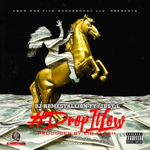 #DropItLow (Explicit)