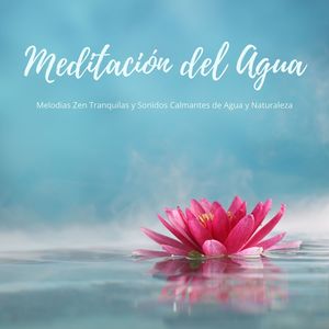 Meditación del Agua: Melodias Zen Tranquilas y Sonidos Calmantes de Agua y Naturaleza