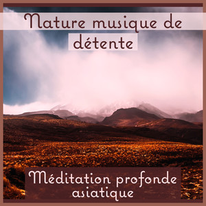 Nature musique de détente: Méditation profonde asiatique, Musique de Tai Chi, Zone de guérison de chakra, Vagues d'océan, Sons de pluie