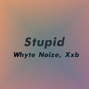 Stupid (feat. Xxb Official) (Explicit)