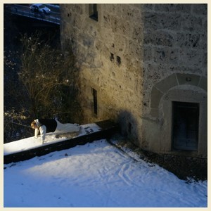 Zitrone Ice Tea (Explicit)