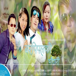 Bar Pipalko Chautari