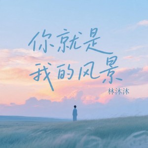 你是我的风景