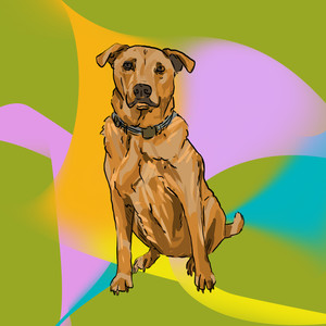 HER KNIGHT & SHINING ARMOR (Sped Up)