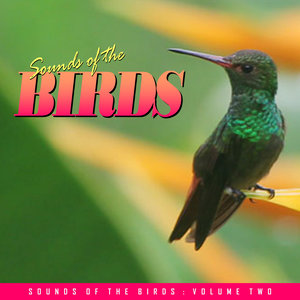 Relaxing Sounds of the Birds Vol. 2