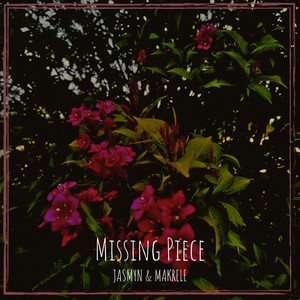 Missing Piece (Explicit)