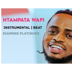 Ntampata wapi | Instrumental Beat | Diamond Platnumz | Free Beat For free style