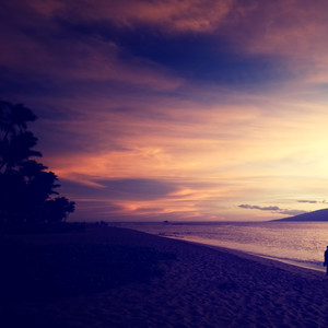 沉沦与遐想 (秒针版)