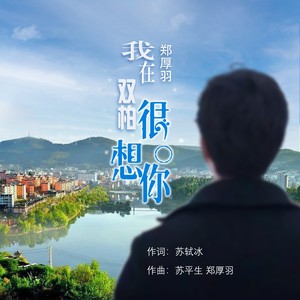 我在双柏很想你 (伴奏)