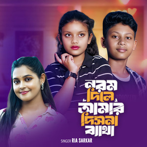Naram Dile Amar Dishna Baitha