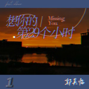 想你的第29个小时