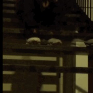 Pluie - Late Night Thoughts (Explicit)