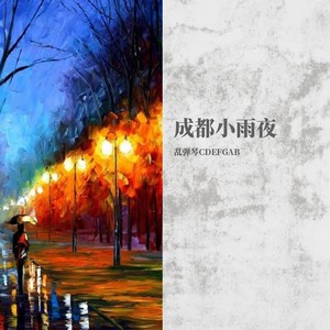 成都小雨夜 (Demo)