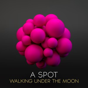 Walking Under the Moon (Original Mix)