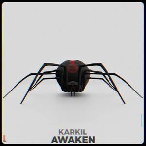 AWAKEN (Radio Edit)