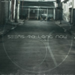 Seems to Long Now (Instrumental)
