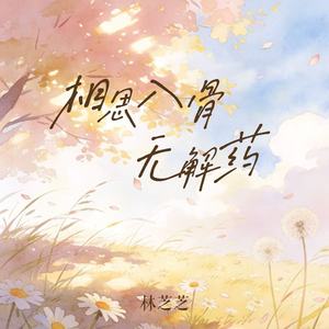 林芝芝 - 相思入骨无解药