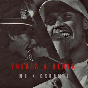 VOLVER A VERLA (MR X OSHOMIL)