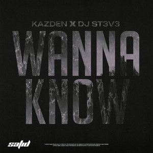 Wanna Know (Instrumental Mix)