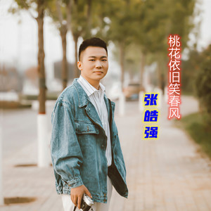 桃花依旧笑春风 (新版伴奏)封面
