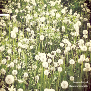 Iris, la Niña Invisible