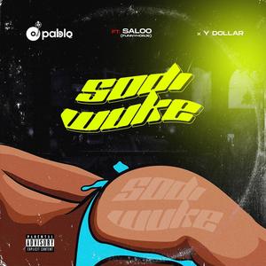 Sodi wuke (feat. Funnyhorje & Y dollar)