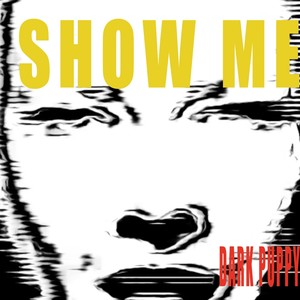 Show me (feat. Sarah Vantorre & Alain Verlinde) [Serge Verlinde Remix]