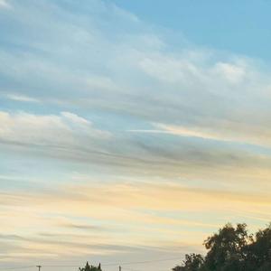 Lookin 4 Luv(feat. J$tarr) (Explicit)