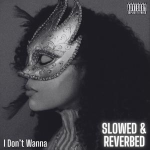 I Don't Wanna (Slowed + Reverb) (Explicit)