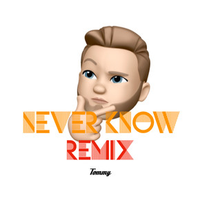 Never Know (Remix)